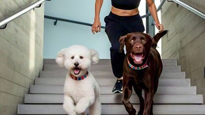 प्रतीकात्मक फोटो