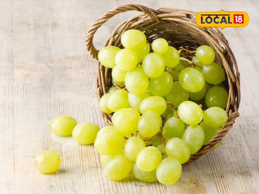  काळी द्राक्षे पोटॅशियमव्यतिरिक्त, मॅग्नेशियम, कॅल्शियम आणि व्हिटॅमिन सी ने समृद्ध असतात. काळी द्राक्षे खाल्ल्याने डोळ्यांची दृष्टी सुधारते. त्यात पोटॅशियम भरपूर असल्याने हृदयाचं आरोग्य चांगलं ठेवण्यास मदत करतं. काळ्या द्राक्षांमध्ये सायटोकेमिकल्स नावाचे घटकही असतात. हे सायटोकेमिकल्स हृदयाच्या आरोग्यासाठी खूप आवश्यक आहेत.