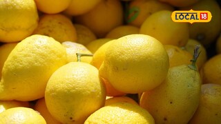 Lemon Rate: पितृपक्षात लिंबाचा आंबटपणा वाढणार? एका लिंबाची किंमत 10 ते 20 रुपये होण्याची शक्यता 