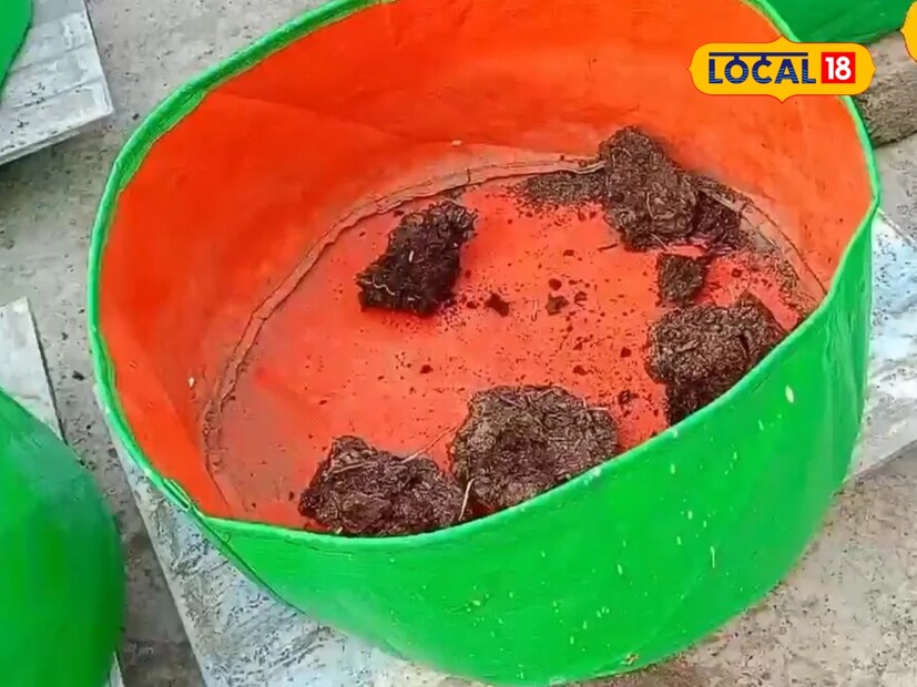  यांच्या मदतीने महिला भाज्यांची लागवड करू शकतात. या ग्रो बॅगमध्ये खास जैविक खत टाकले जाते आणि ती मातीने भरून त्यात भाज्या लावल्या जातात. यात कारले, टोमॅटो, भेंडी यांसारखी झाडं लावता येतील आणि किचनमधील निम्मी गरज भागवता येईल.