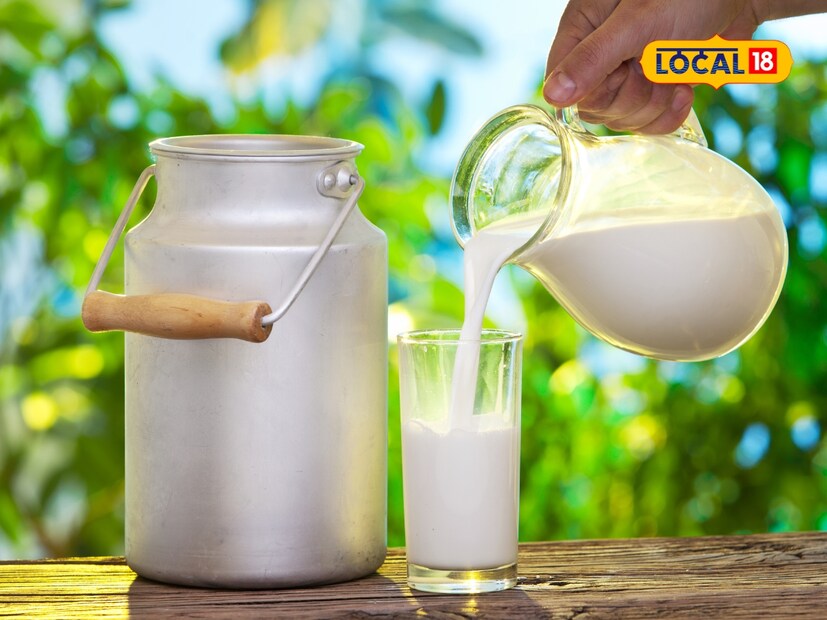  कधीकधी तुम्ही पाहिले असेल की दुधाला जास्त फेस येतो आणि ते स्पष्टपणे फेसयुक्त दिसते. हे डिटर्जंटच्या भेसळीमुळे असू शकते. अशा परिस्थितीत, 5 मिली दूध 5 मिली पाण्यात मिसळा आणि चांगले हलवा. जर जास्त फेस तयार झाला आणि तो साबणासारखा वाटला, तर त्यात डिटर्जंट मिसळलेले असू शकते, जे आरोग्यासाठी खूप धोकादायक ठरू शकते.