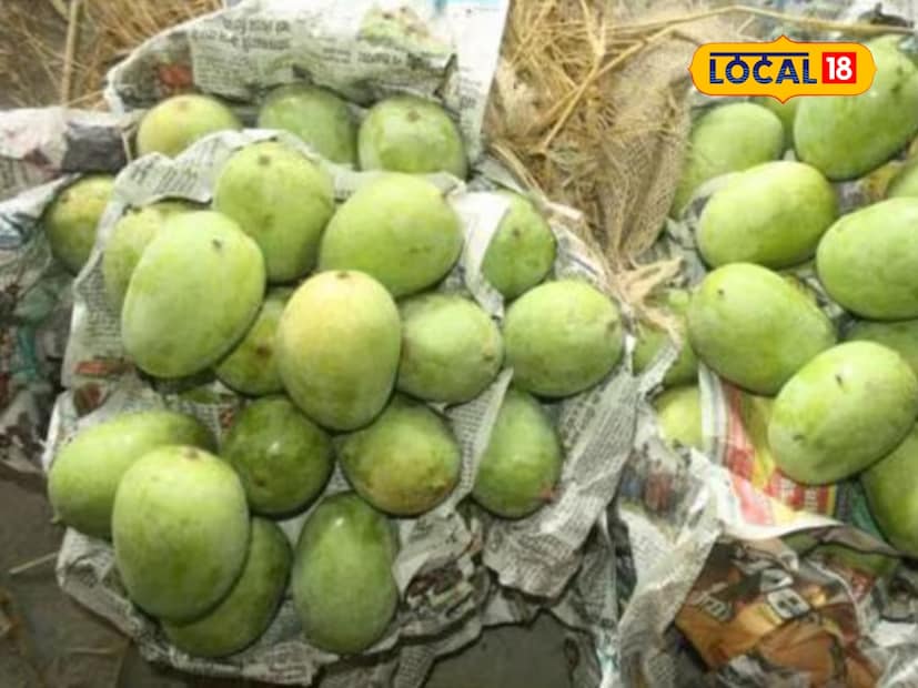  घरी पिकवलेले हे आंबे बाजारात मिळणाऱ्या आंब्यांपेक्षा खूप वेगळे असतात. त्यांची चव तर एकदम लाजवाब असते आणि ते खाल्ल्यावर कसलाही त्रास होत नाही. कारण त्यांना पिकवण्यासाठी कोणत्याही केमिकलचा वापर केलेला नसतो.