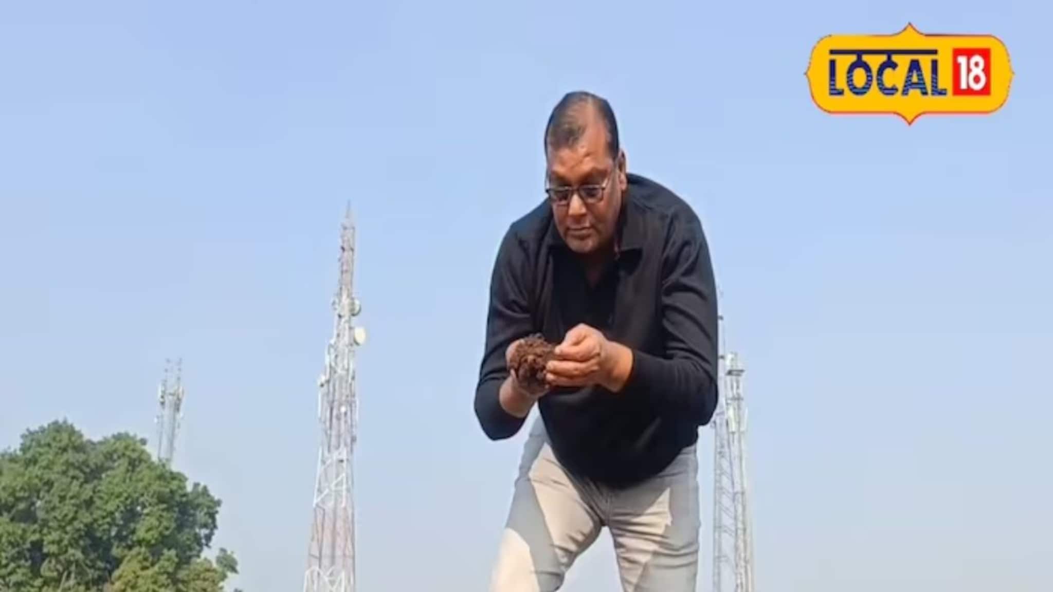 शेतजमीन नाही, गुरंढोरं नाहीत, तरीही 'ही' व्यक्ती बनली लखपती, दिलं डझनभर लोकांना काम, असा कोणता व्यवसाय केला? 