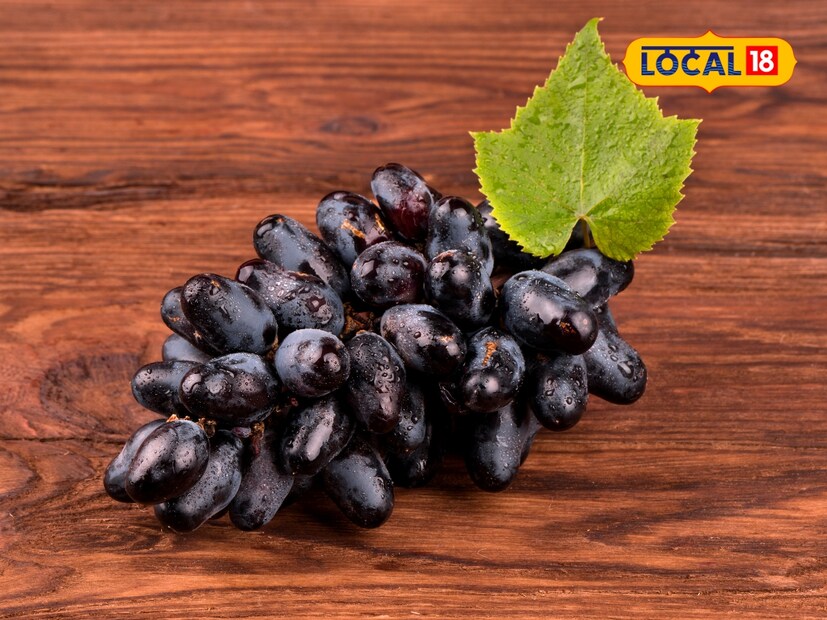  हिरवी द्राक्षे कार्ब्स, प्रथिने, फायबर, व्हिटॅमिन सी आणि के ने परिपूर्ण असतात. काळ्या द्राक्षांप्रमाणेच, हिरवी द्राक्षेही हृदयाच्या आरोग्यासाठी फायदेशीर आहेत. या द्राक्षांमध्ये अनेक फायटोकेमिकल्स असतात, ज्यामुळे मानसिक आरोग्याला आराम मिळतो. हिरव्या द्राक्षांमध्ये फायबरचं प्रमाणही जास्त असल्याने वजन कमी करणं सोपं होतं.