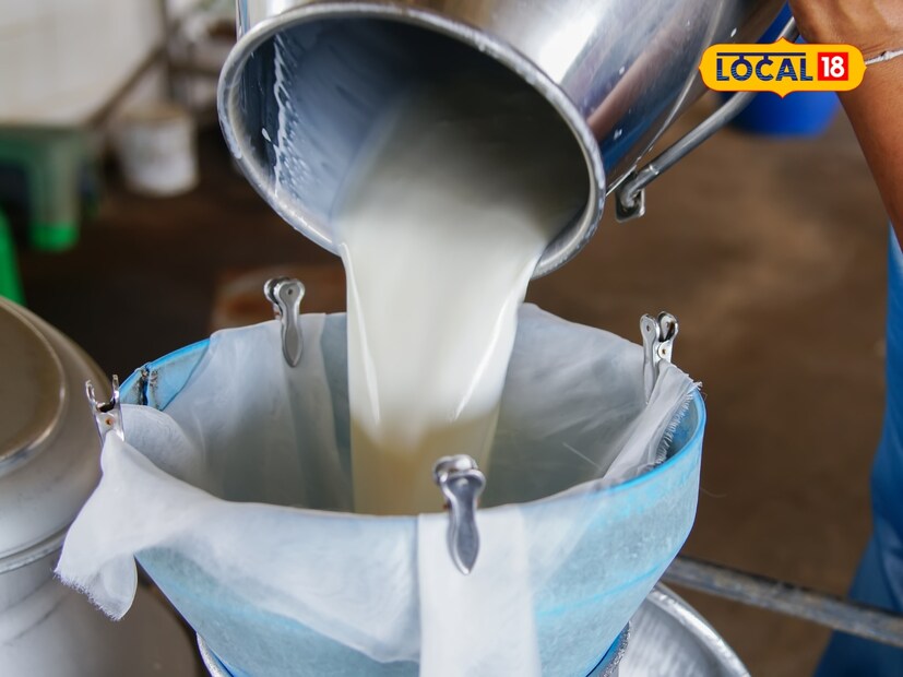  सिंथेटिक दुधात कृत्रिम रसायने, डिटर्जंट, युरिया इत्यादी असतात. त्याला थोडा रासायनिक वास येतो आणि त्याची चव सामान्य दुधापेक्षा वेगळी असते. सिंथेटिक दूध उकळल्यावर फेस येतो आणि साय तयार होत नाही. ही त्याची सर्वात मोठी ओळख आहे. जेव्हा तुम्ही ते तळहातावर चोळता, तेव्हा ते साबणासारखे वाटते. यावरूनही तुम्ही ते ओळखू शकता.