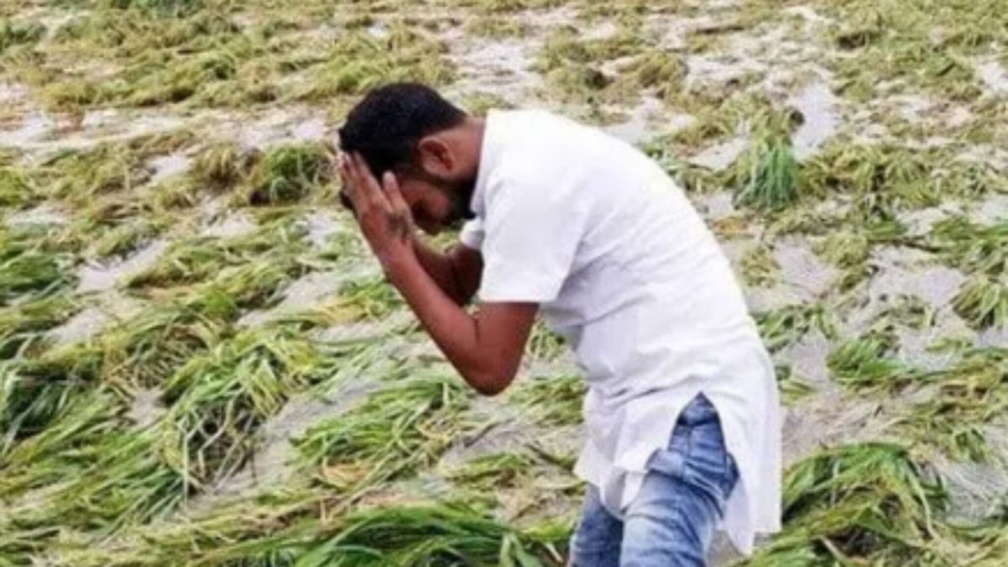 शेतकऱ्यांना सुख मिळेना! अवकाळी पुन्हा येणार, राज्यातील या जिल्ह्यांना सर्वाधिक धोका