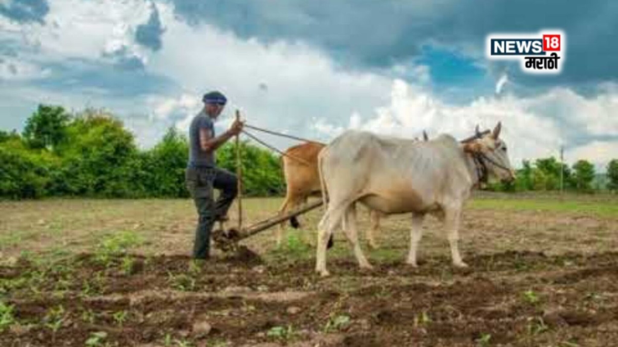 मान्सून लवकर येतोय पण पेरणीचं काय? करावी कि नाही? वाचा कृषी तज्ज्ञांचा सल्ला