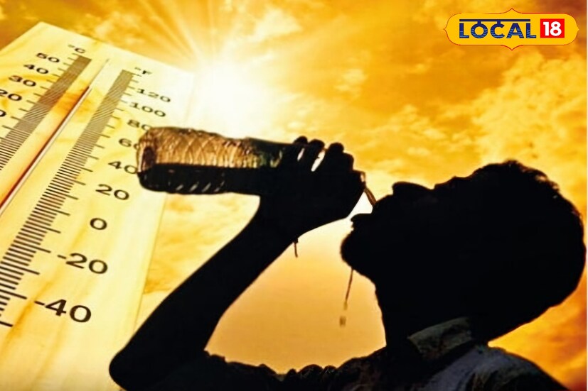 राज्यातील तापमानात सातत्याने चढ-उतार होत आहेत. मे महिना उष्णतेमुळे अधिक त्रासदायक ठरण्याची शक्यता आहे. त्यामुळे नागरिकांनी योग्य ती काळजी घेण्याची गरज आहे. 