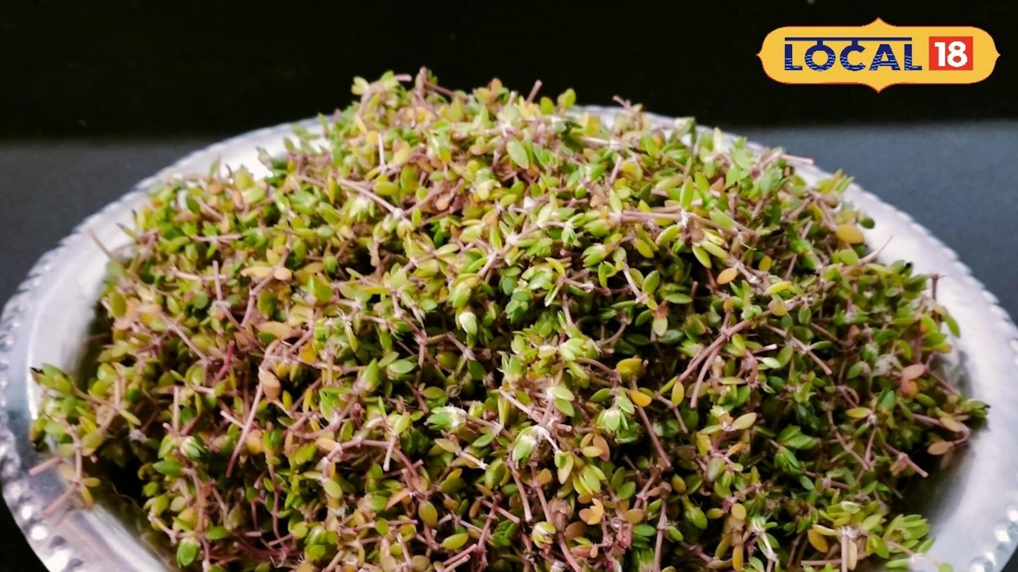 Summer Recipe: उन्हाळ्यात प्रत्येकानं खावी ही रानभाजी, फायदे पाहाल तर चकीत व्हाल, पाहा रेसिपी