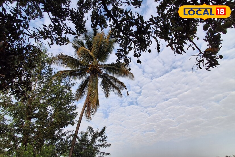 राज्यात 2 मे रोजी अकोला येथे राज्यातील उच्चांकी 44.5 अंश सेल्सिअस तापमानाची नोंद झाली. तसेच पश्चिम महाराष्ट्रात सोलापूर जिल्हा सर्वाधिक उष्ण असून इथला पारा 44 अंशांवर गेला आहे. पश्चिम महाराष्ट्रातील सर्व जिल्ह्यांत निरभ्र आकाश राहणार असून शुक्रवारी सरासरी तापमान 21.5 ते 44.1 अंश सेल्सिअस राहिले. पुढील 24 तासात पश्चिम महाराष्ट्र महाराष्ट्रातील हवामान अंदाज जाणून घेऊ. राज्यात 2 मे रोजी अकोला येथे राज्यातील उच्चांकी 44.5 अंश सेल्सिअस तापमानाची नोंद झाली. तसेच पश्चिम महाराष्ट्रात सोलापूर जिल्हा सर्वाधिक उष्ण असून इथला पारा 44 अंशांवर गेला आहे. पश्चिम महाराष्ट्रातील सर्व जिल्ह्यांत निरभ्र आकाश राहणार असून शुक्रवारी सरासरी तापमान 21.5 ते 44.1 अंश सेल्सिअस राहिले. पुढील 24 तासात पश्चिम महाराष्ट्र महाराष्ट्रातील हवामान अंदाज जाणून घेऊ.