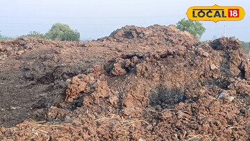 गावशिवारात