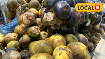 ताडगोळे