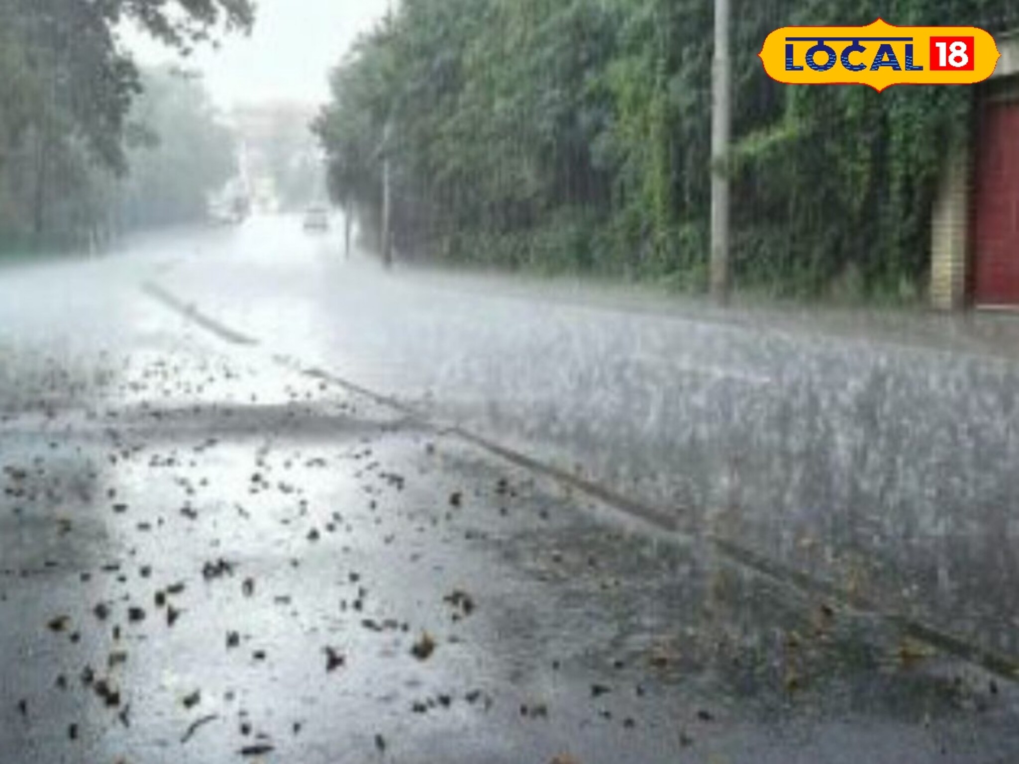 वादळी पाऊस झोडपणार, 24 तासांत हवा बदलणार, संभाजीनगरसह 3 जिल्ह्यांना अलर्ट