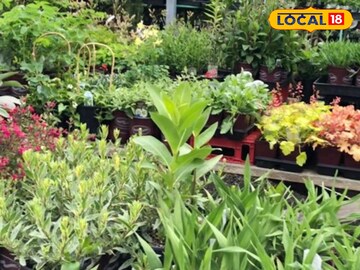 स्वस्तात