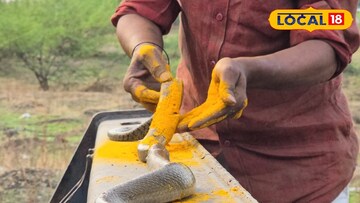 सोलापूर