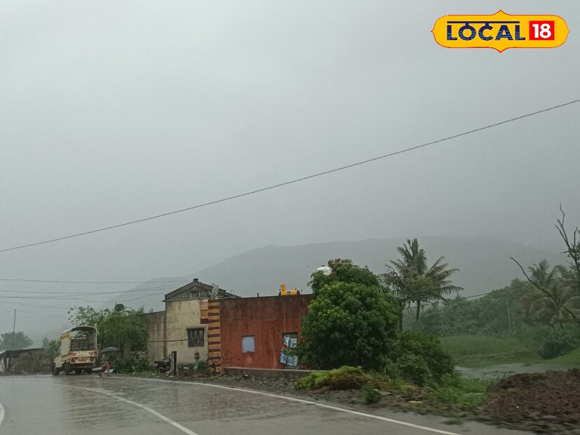 मराठवाड्यात मुसळधार पावसाने शेतीचे मोठे नुकसान झाले आहे. आज पुन्हा छत्रपती संभाजीनगरसह 7 जिल्ह्यांना यलो अलर्ट देण्यात आला असून शेतकऱ्यांना योग्य ती काळजी घ्यावी लागेल. शेतातील काढून ठेवलेला माल हा सुरक्षित ठिकाणी ठेवावा जेणेकरून नुकसान होणार नाही. 