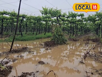 Rain Alert: कोकण, विदर्भात मुसळधार, 7 जिल्ह्यांना ऑरेंज अलर्ट, 24 तास धोक्याचे!