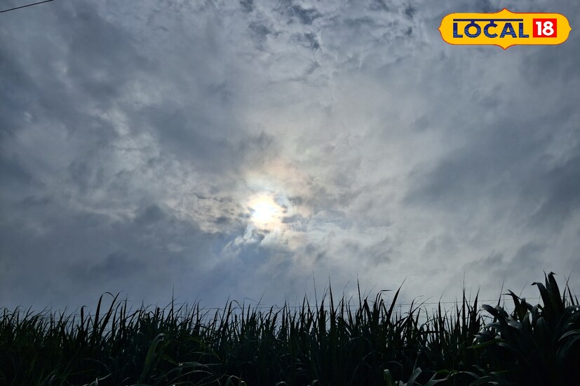 कोल्हापूर जिल्ह्यात पावसाचा जोर ओसरला आहे. कमाल तापमान 28 अंश सेल्सिअस तर किमान तापमान 22 अंश सेल्सिअस वर राहण्याची शक्यता आहे. आज काही ठिकाणी पावसाच्या हलक्या पावसाच्या सरी बरसतील. घाटमाथ्यावर मात्र विजांच्या कडकडाट जोरदार पावसाची शक्यता असल्याने सतर्कतेचा यलो अलर्ट दिला आहे.