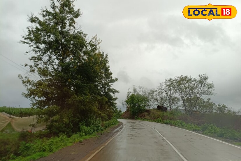 गेल्या काही काळात लागून राहिलेल्या अवकाळी पावसाने ऊस, द्राक्ष पिकांच्या मेहनतींची कामे खोळंबली आहेत. तसेच हळद, आले आणि ऊस लावणीसाठी ठेवलेल्या शेतांना तळ्यांचे स्वरूप आल्याने मे महिन्याच्या शेवटी होणाऱ्या लावणी लांबणीवर पडल्या आहेत. जत, आटपाडी भागातील फळबागांवर सततच्या पावसाने रोगराईच्या प्रादुर्भावाचा फटका बसत आहे. पावसाचा जोर ओसरल्याने शेतकरी शेतांना वापसा येण्याच्या प्रतीक्षेत आहेत.