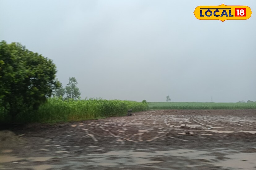 सोलापुरातील बहुतांश ठिकाणी मागील 24 तासात जोरदार पावसाने हजेरी लावली. अवकाळी पावसाच्या आगमनाने अवर्षण भागातील ओढे, नद्या तुडुंब भरून वाहत आहेत. पुढील 24 तासात ढगांच्या गडगडाटासह हलक्या पावसाची शक्यता हवामान विभागाकडून वर्तवण्यात आली आहे. सोलापुरातील कमाल तापमान 33 अंश सेल्सिअस राहील. 