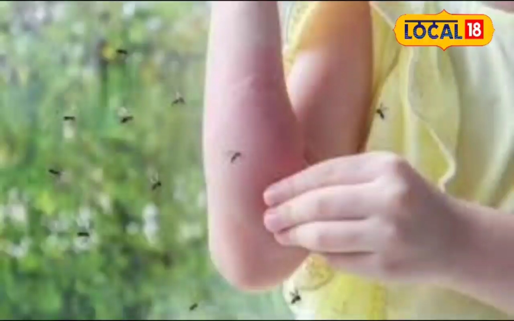 Monsoon Tips: पावसाळ्यात डास फिरकणारही नाहीत! फक्त घरात लावा 5 झाडं आणि पाहा जादू