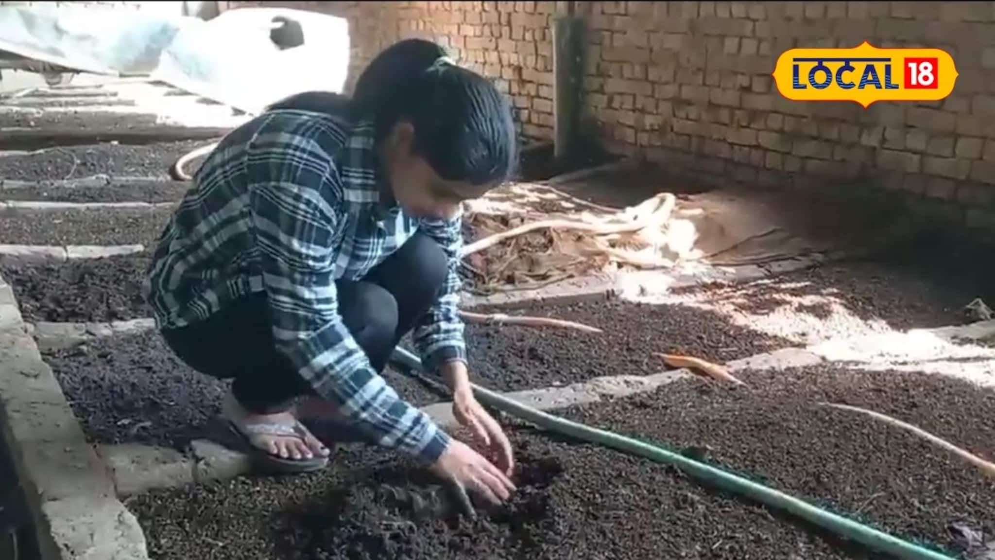 D.Ed. केलं, पण नोकरी केली नाही! 25 वर्षांच्या काजलने निवडली वेगळी वाट; आज कमवते लाखो रुपये