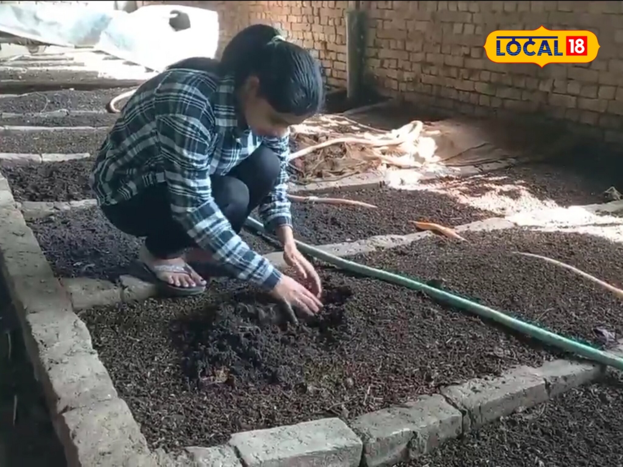 D.Ed. केलं, पण नोकरी केली नाही! 25 वर्षांच्या काजलने निवडली वेगळी वाट; आज कमवते लाखो रुपये