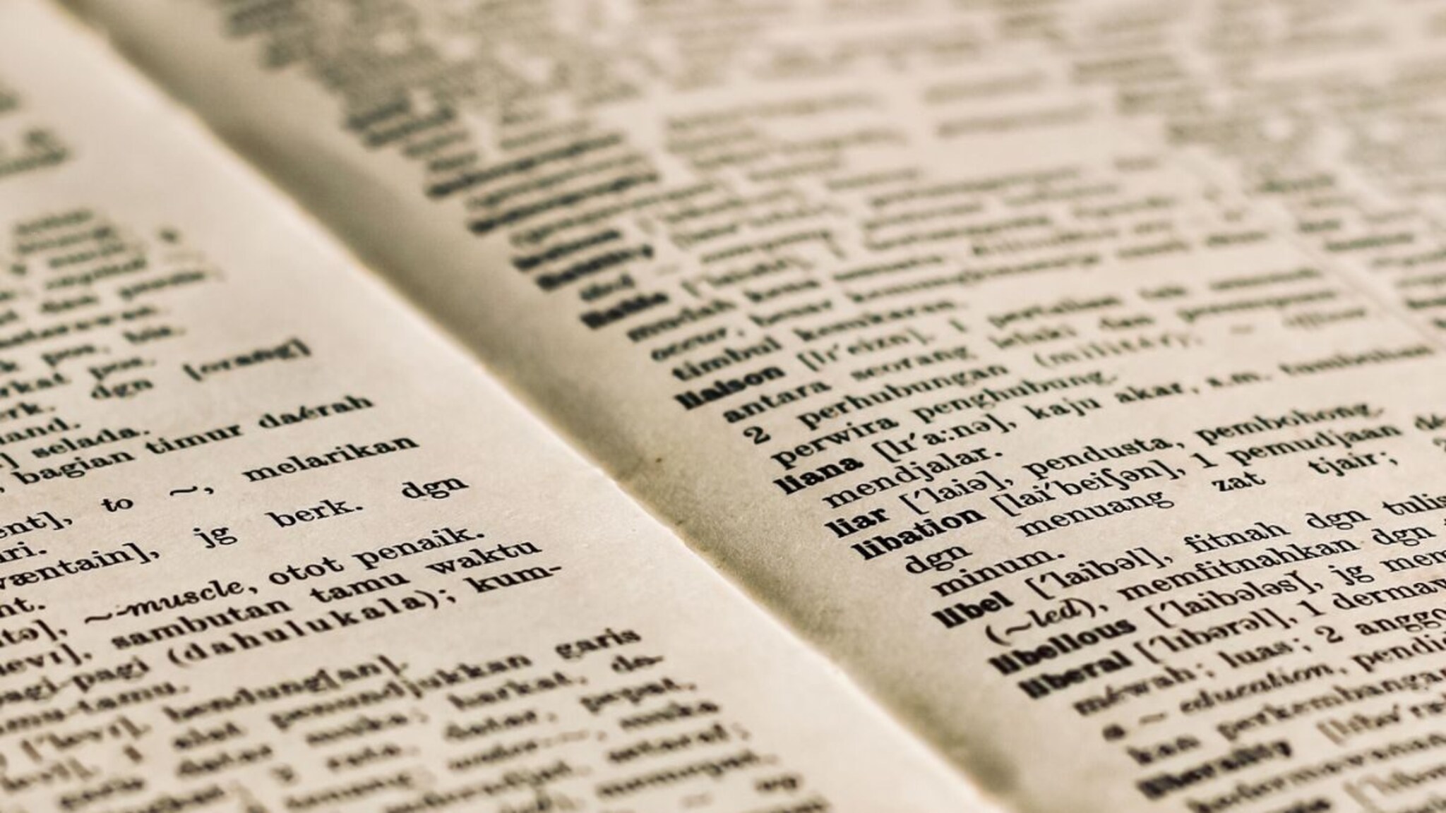 General Knowledge : बाबो! 1 लाख अक्षरांचा एक शब्द, जगातील सगळ्यात लाँग वर्ड वाचायचा कसा?