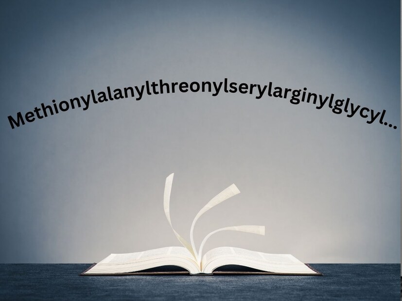 मीडिया रिपोर्ट्सनुसार, सर्वात मोठा शब्द Methionylalanylthreonylserylarginylglycyl... ज्याच्यात पुढे आणखी लाखो अक्षरं आहेत.