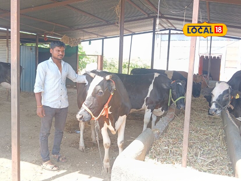 प्रदीप ताकमोगे यांनी 13 वर्षांपूर्वी एका गाईपासून सुरुवात केली होती. आता त्यांच्याकडे 13 गाई असून महिन्याला 90 हजार ते 1 लाखांपर्यंत कमाई होतेय. याबाबत लोकल18 सोबत बोलताना ताकमोगे यांनी माहिती दिलीये.