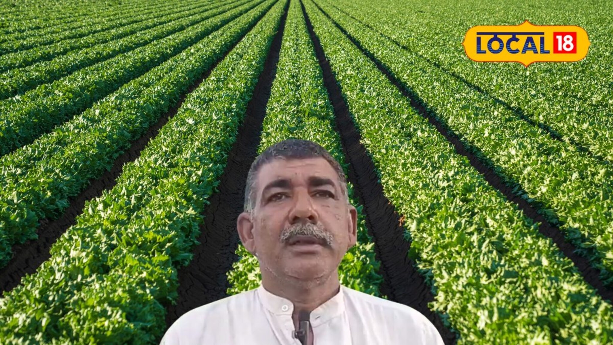 यूट्यूबवरून घेतलं ज्ञान, शेतकऱ्याने लावलं 'हे' पीक, आता कमवतोय तिप्पट नफा!