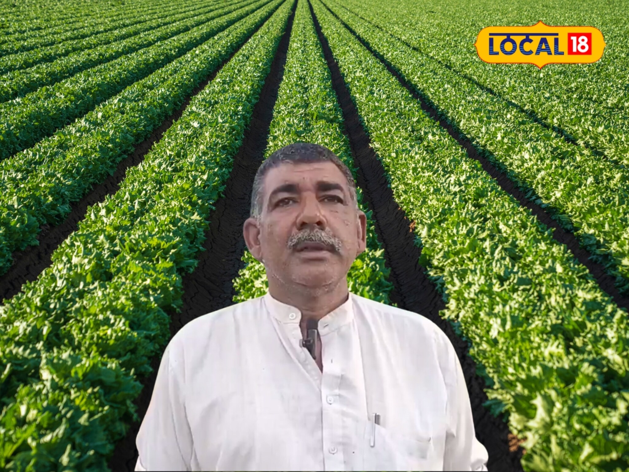 यूट्यूबवरून घेतलं ज्ञान, शेतकऱ्याने लावलं 'हे' पीक, आता कमवतोय तिप्पट नफा!