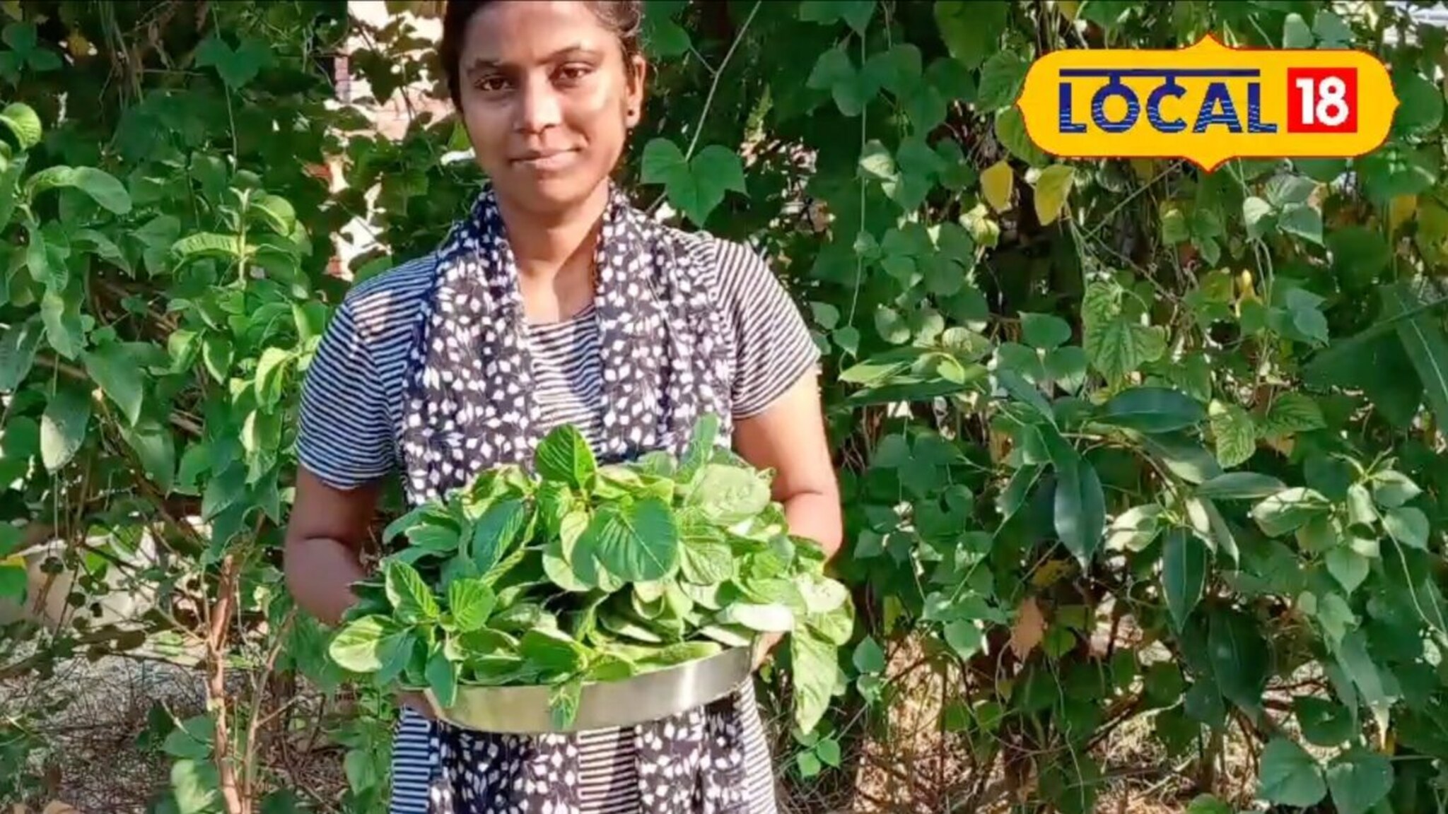 व्वा, याला म्हणायचं टॅलेंट! दामिनीने परसबागेत पिकवल्या तब्बल 17 भाज्या; सेंद्रिय शेतीचा भन्नाट प्रयोग