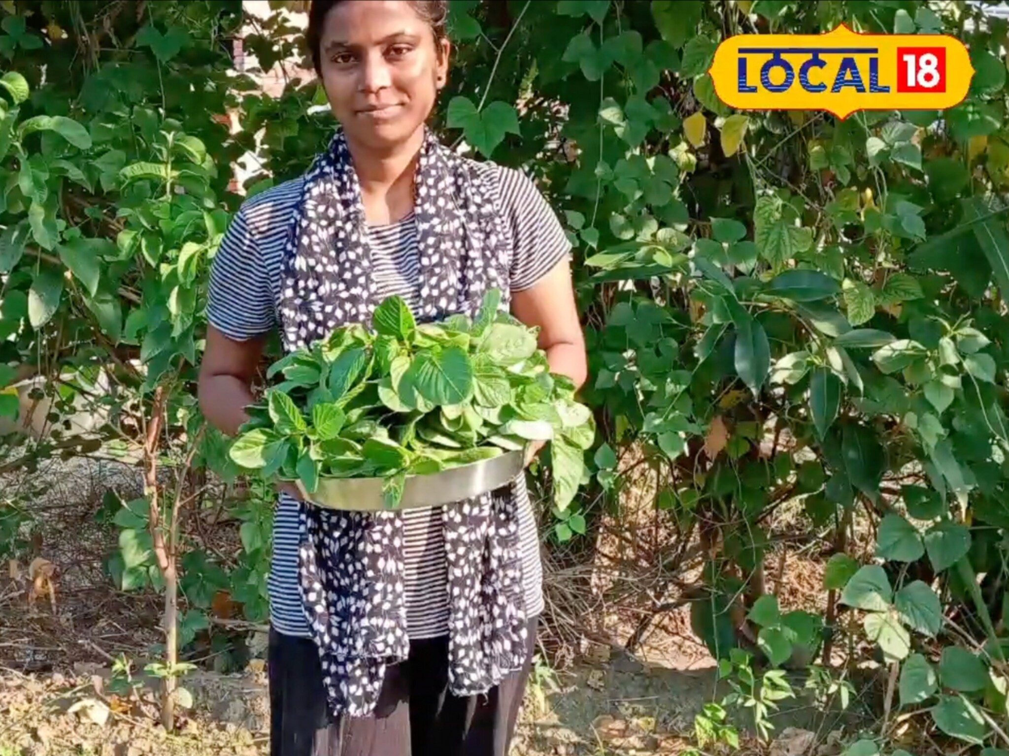 व्वा, याला म्हणायचं टॅलेंट! दामिनीने परसबागेत पिकवल्या तब्बल 17 भाज्या; सेंद्रिय शेतीचा भन्नाट प्रयोग