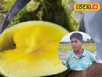 yellow watermelon