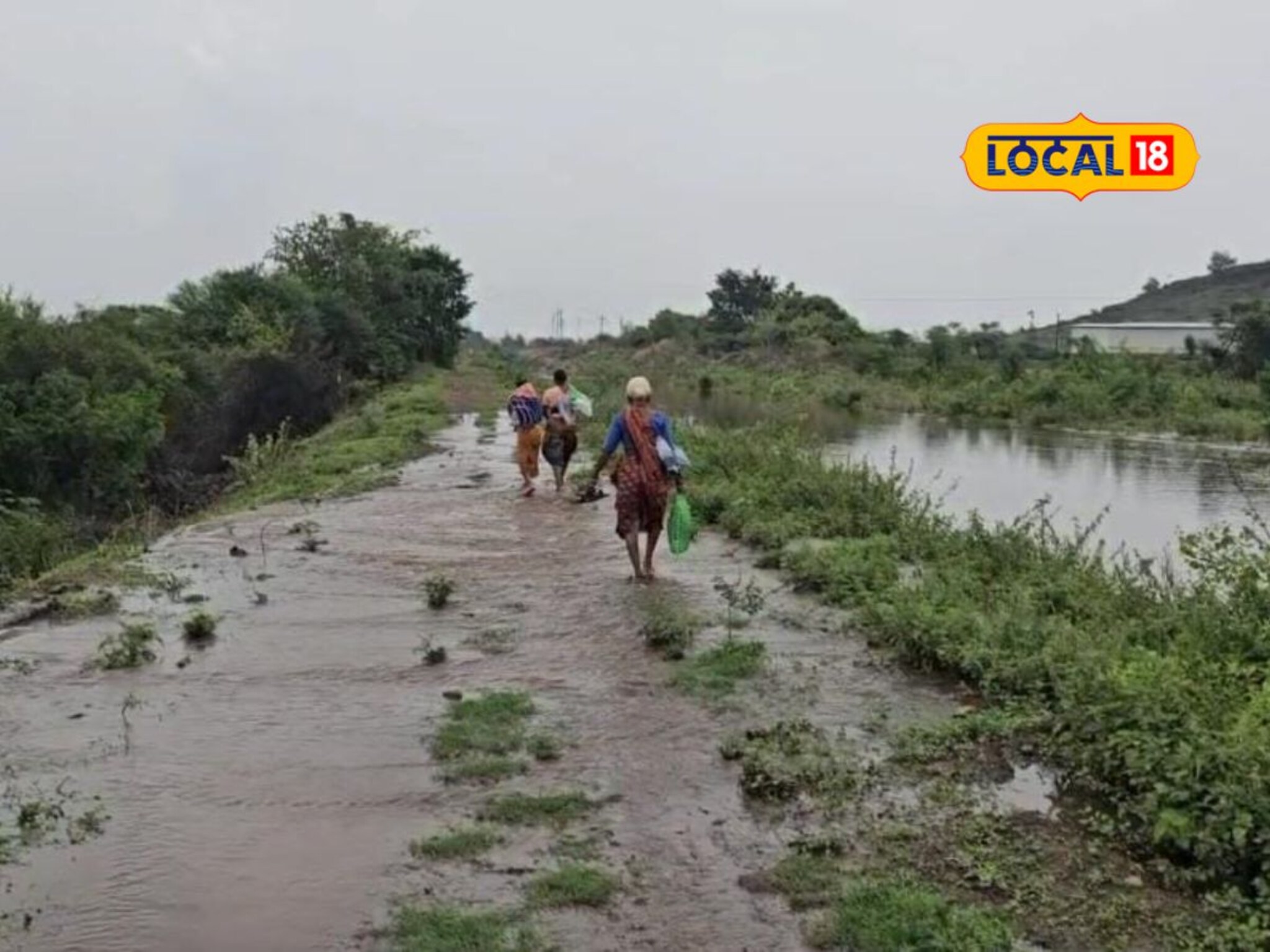 Rain Alert: ताशी 50 किमीने वारे वाहणार, मराठवाड्याला पुन्हा झोडपणार, 6 जिल्ह्यांना धोक्याचा इशारा