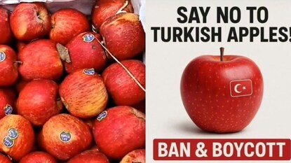 Turkish Apple Turkish Apple