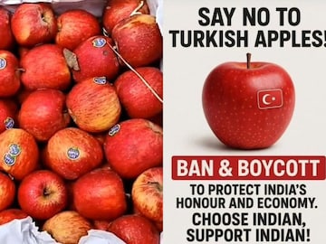 Turkish Apple Turkish Apple