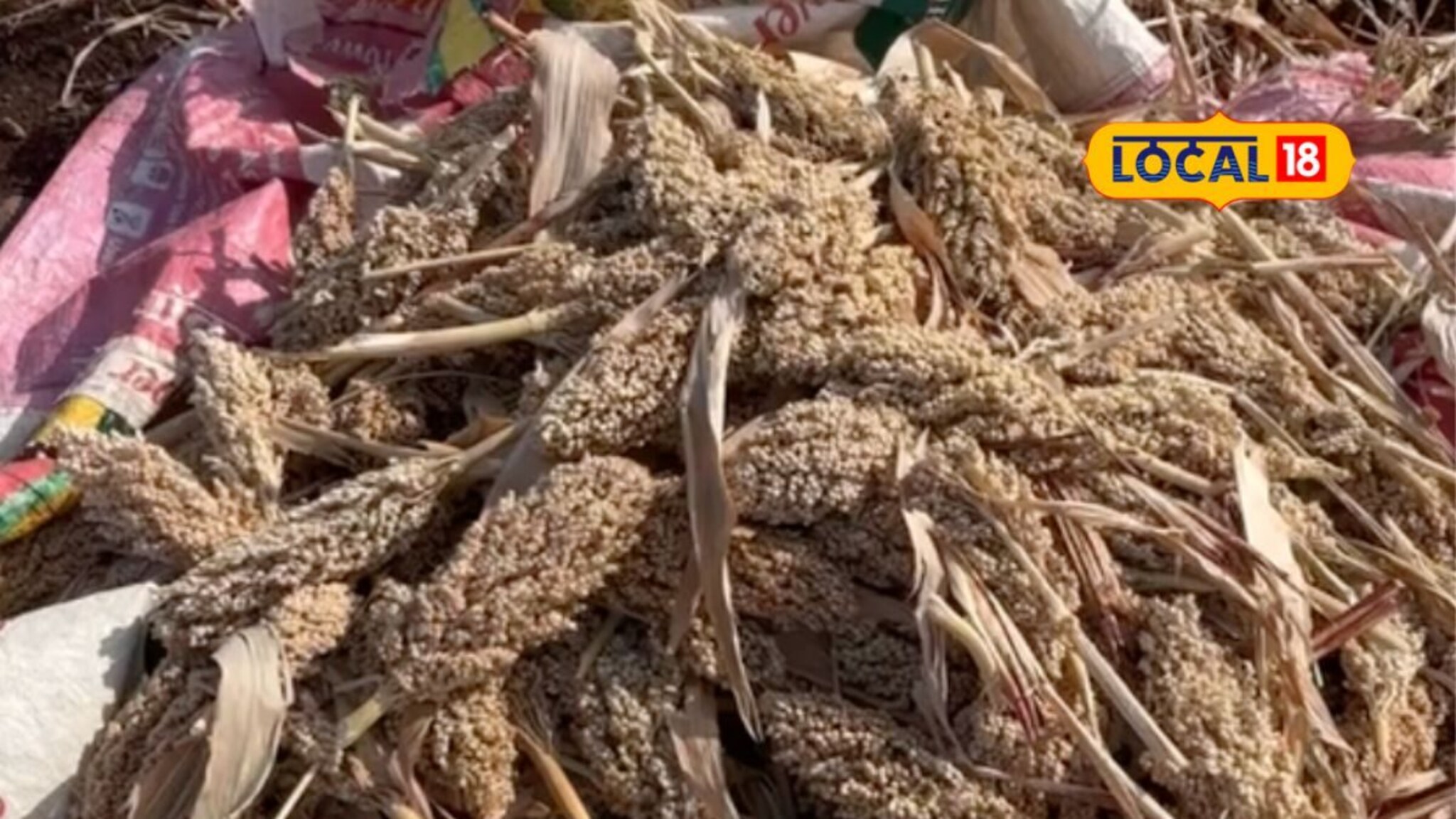 अवकाळी पावसामुळे हातातोंडाचा घास गेला, आता खावं काय? शेतकऱ्याचा सवाल,Video