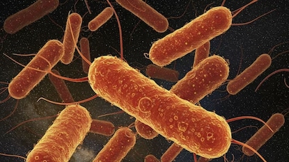 प्रतीकात्मक फोटो प्रतीकात्मक फोटो