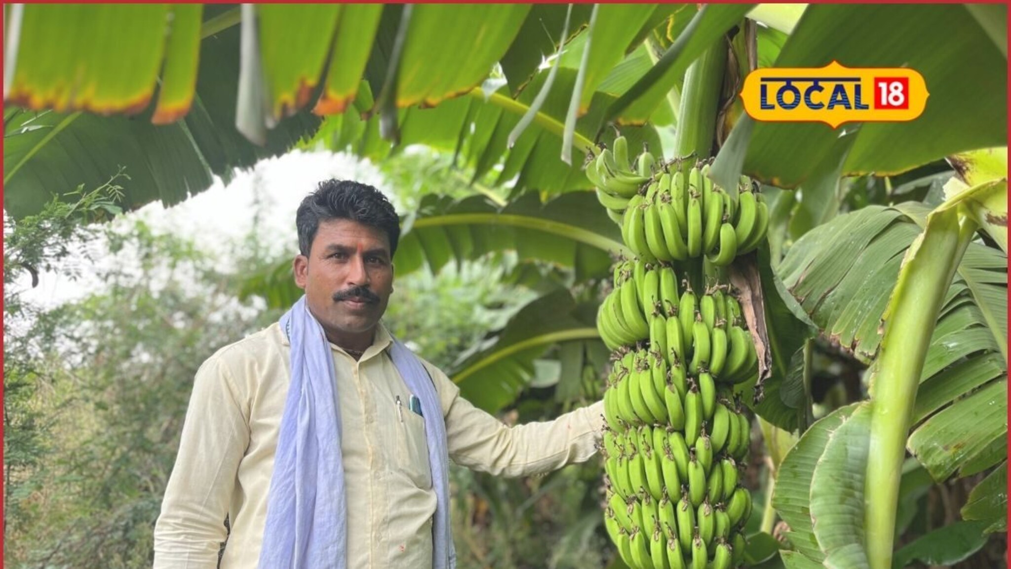 दुष्काळी मराठवाड्यात लावलं पैशाचं पीक, शेतकऱ्यानं सांगितलं नफ्याचं गणित!