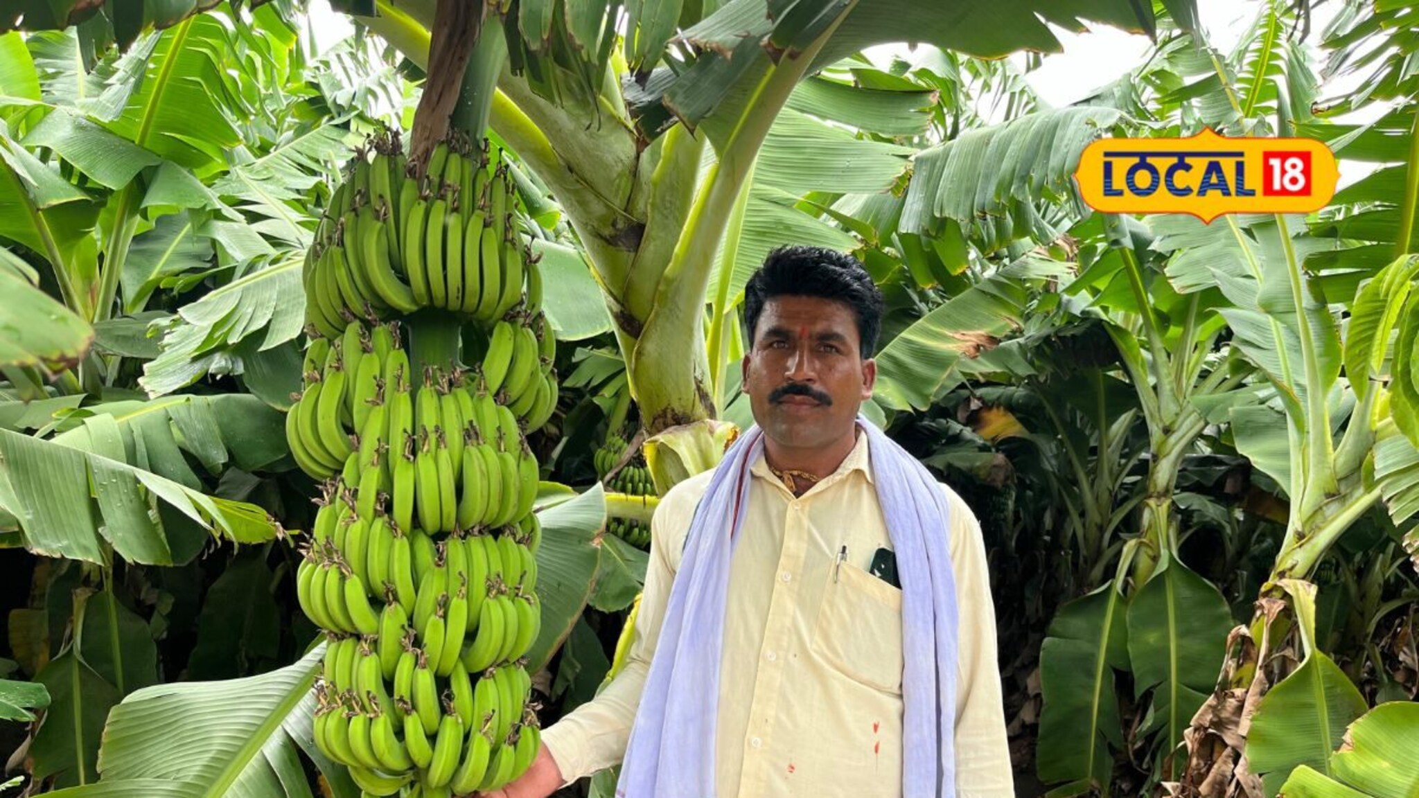 शेतकऱ्यानं करून दाखवलं, केवळ 30 गुंठ्यात 9 लाखांचं उत्पन्न,कशी केली केळीची शेती?