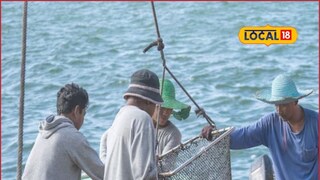 Fishing: चवीनं मासे खाणाऱ्यांसाठी महत्त्वाची बातमी, दर वाढणार, मच्छिमारांसाठी सरकारनं जाहीर केले नवे नियम Fishing: चवीनं मासे खाणाऱ्यांसाठी महत्त्वाची बातमी, दर वाढणार, मच्छिमारांसाठी सरकारनं जाहीर केले नवे नियम