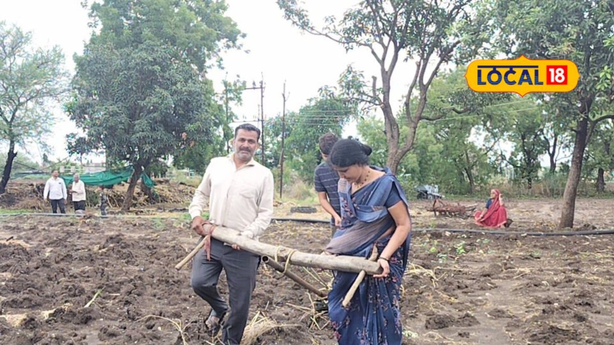 बैलजोडी गेली चोरीला, हताश झालेल्या शेतकऱ्यानं कारभारणीला जुंपलं वखराला