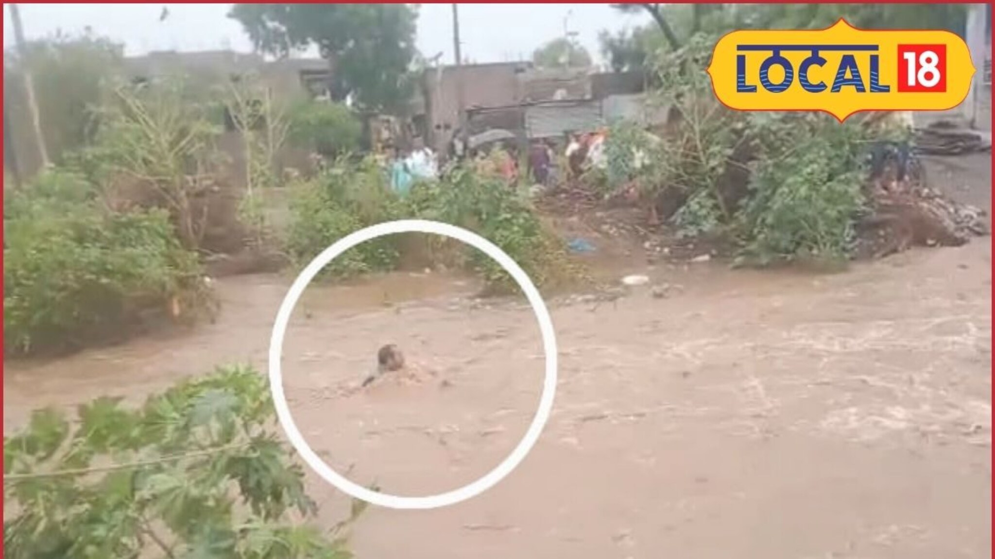 Jalna Rain: अवकाळी पावसाचं थैमान, जालन्यात नदी-नाल्यांना पूर, शेतीच गेली वाहून!