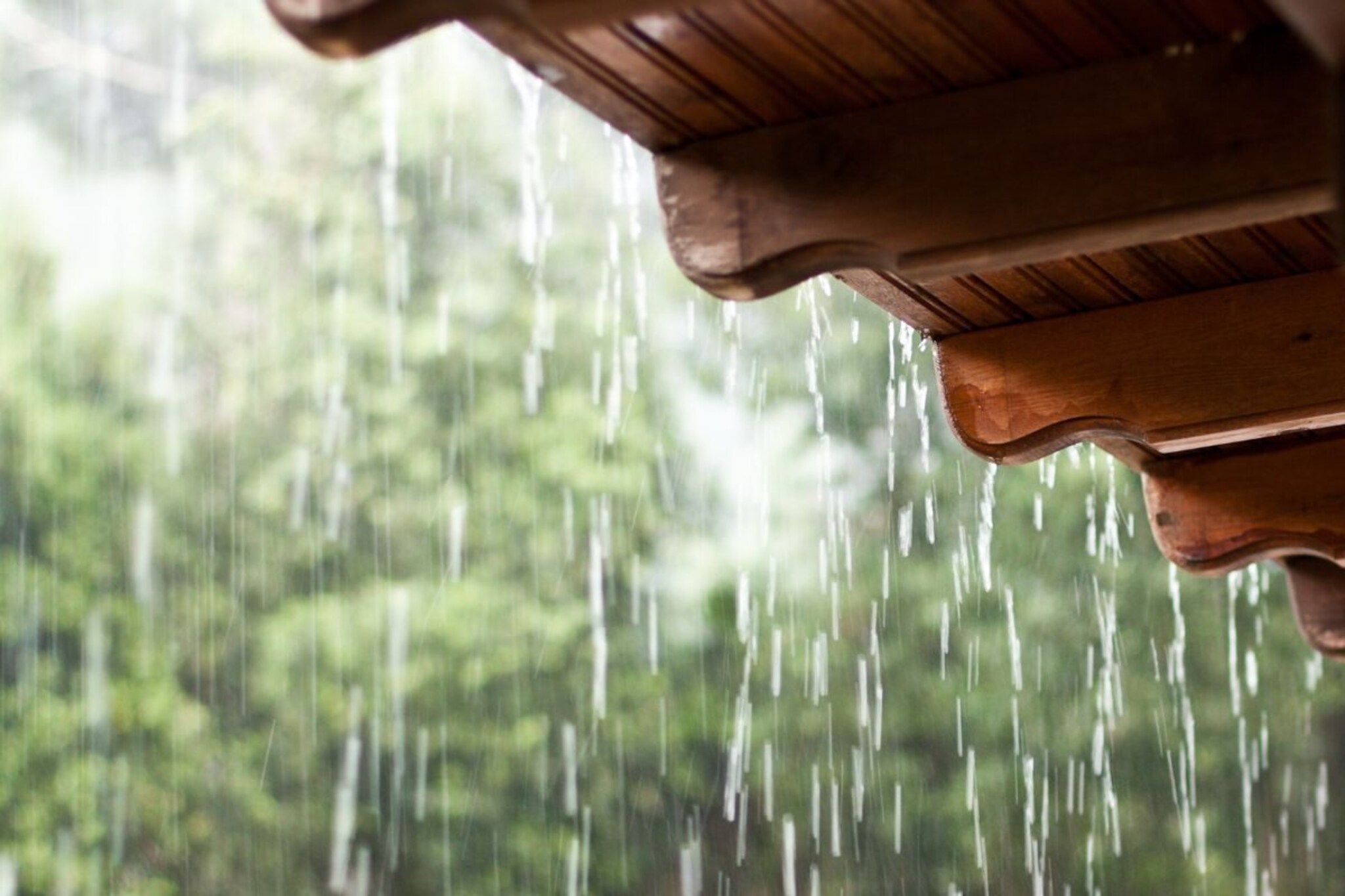 बंगालच्या उपसागरात घडतंय काहीतरी भयंकर! मान्सूनवरही होणार परिणाम? समोर आली अपडेट