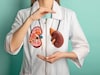 Kidneys : निरोगी किडन्यांसाठी डॉक्टरांचा सल्ला, काही पदार्थांना करा बाय बाय