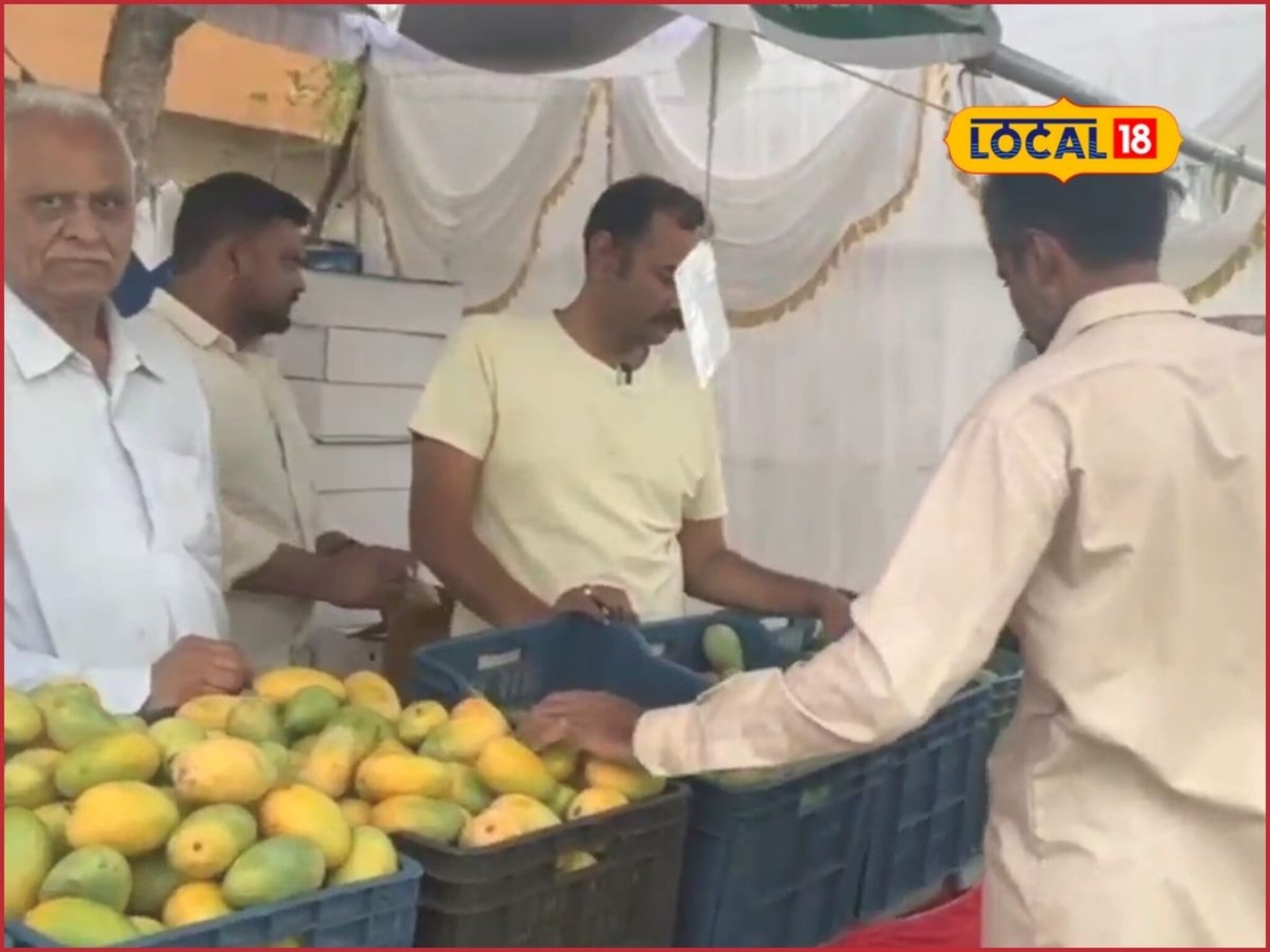 कोकणचा हापूस मराठवाड्यात, छ. संभाजीनगरमध्ये आंबा महोत्सव, दर एकदम परवडणारा!