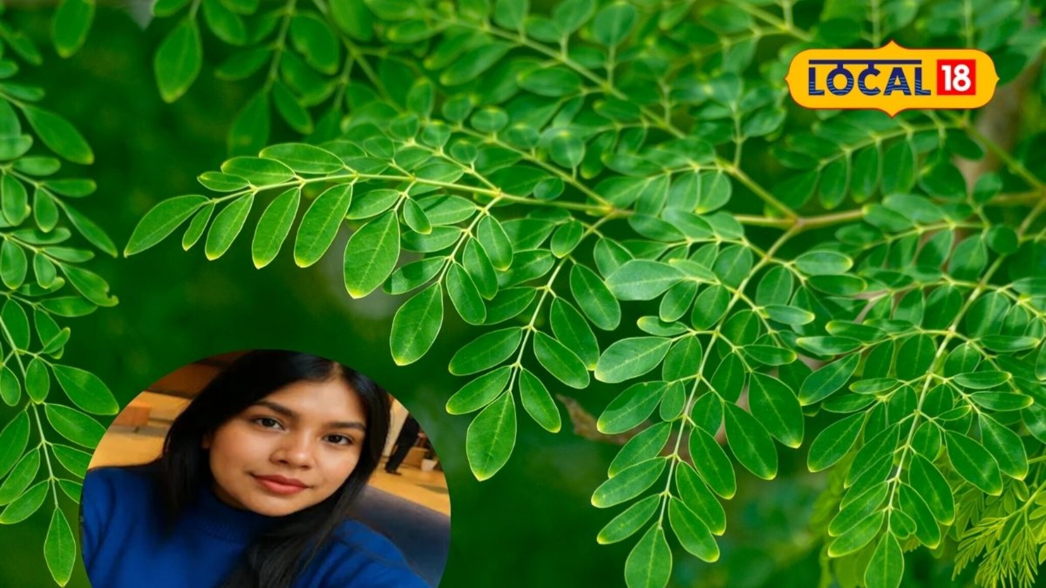 शेवग्याच्या पानातून समृद्धी! सादिकानं बदलली गावाची आणि स्वतःची लाईफ, महिना कमवते 1 लाख