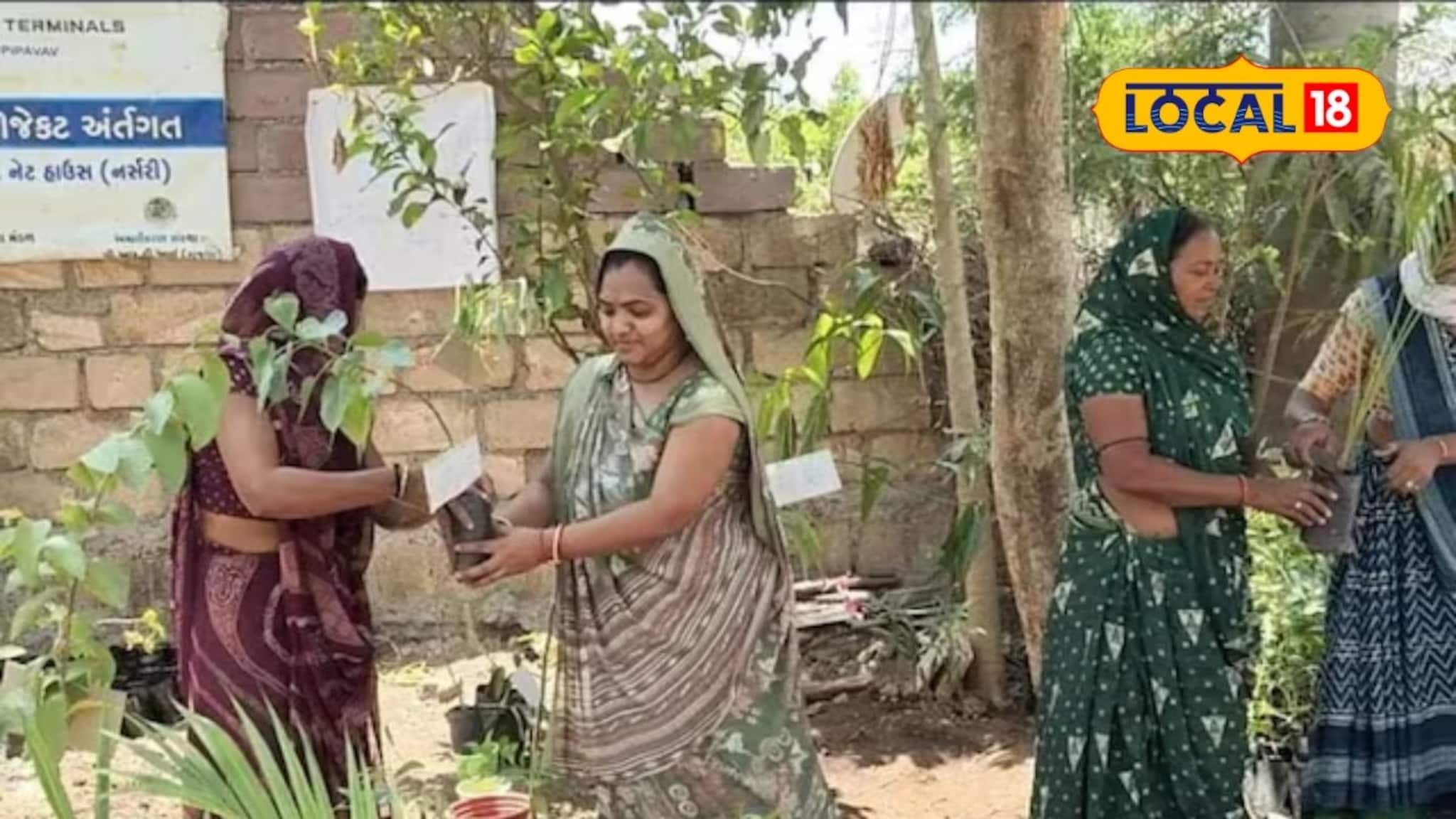 Success Story : महिलांची कमाल! 10 जणी एकत्र आल्या अन् सुरू केली नर्सरी, आता करताहेत 'इतकी' कमाई